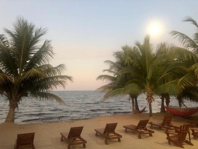 The White Horse Inn - Hopkins Village Beach Belize Exterior foto